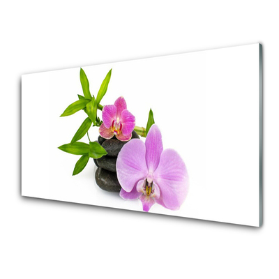 Paneles de vidrio para la cocina Flor orquídea planta