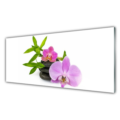 Paneles de vidrio para la cocina Flor orquídea planta