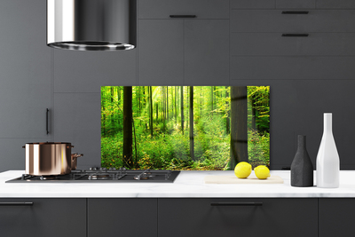 Paneles de vidrio para la cocina Bosque verde árboles naturaleza