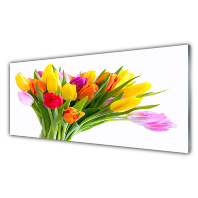 Paneles de vidrio para la cocina Tulipanes flores planta
