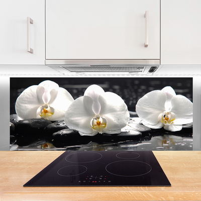 Paneles de vidrio para la cocina Flor orquídea blanca
