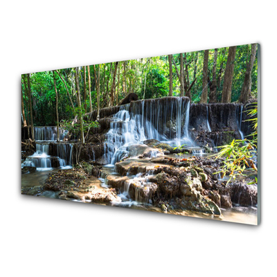 Paneles de vidrio para la cocina Salto del agua bosque naturaleza