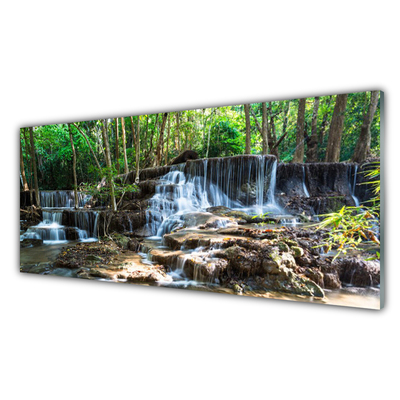 Paneles de vidrio para la cocina Salto del agua bosque naturaleza