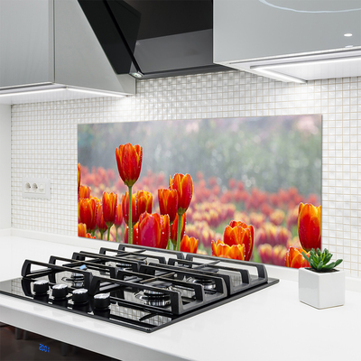 Paneles de vidrio para la cocina Tulipanes flores planta