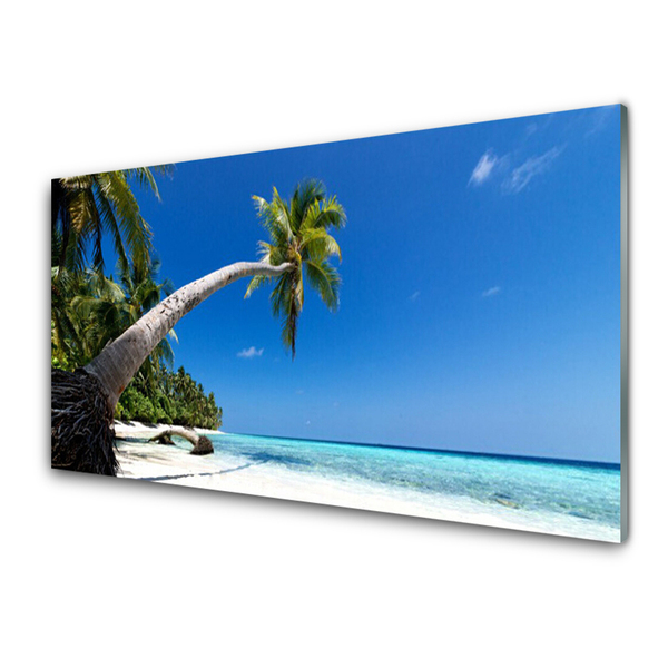 Paneles de vidrio para la cocina Playa palmeras mar paisaje
