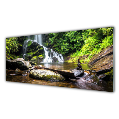 Paneles de vidrio para la cocina Salto de agua bosque naturaleza arroyo