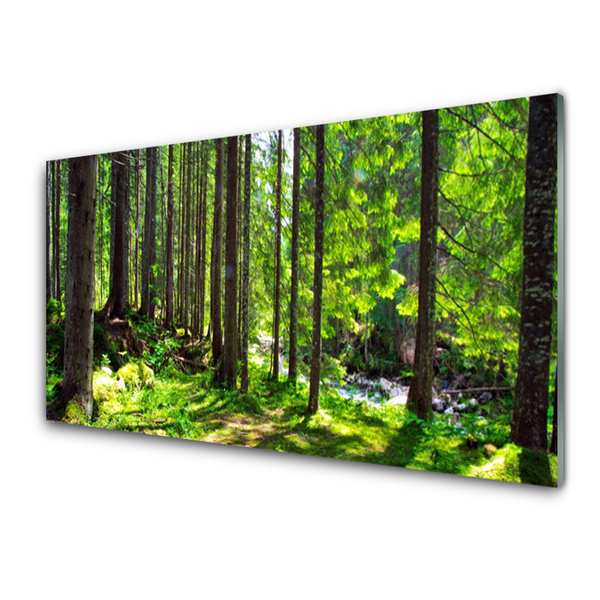 Paneles de vidrio para la cocina Bosque árboles planta naturaleza