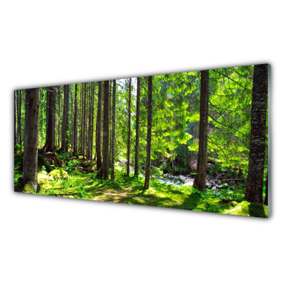 Paneles de vidrio para la cocina Bosque árboles planta naturaleza