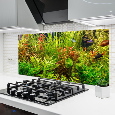 Paneles de vidrio para la cocina Acuario peces plantas