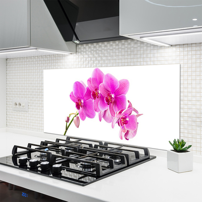 Paneles de vidrio para la cocina Orquídea flor orquídea