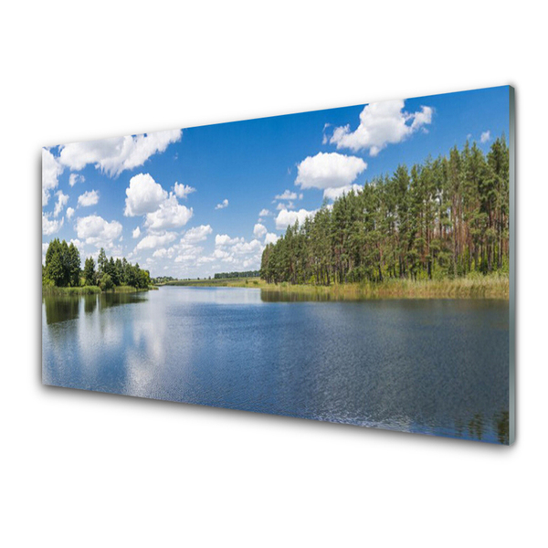 Paneles de vidrio para la cocina Lago bosque paisaje