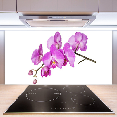 Paneles de vidrio para la cocina Orquídea flores