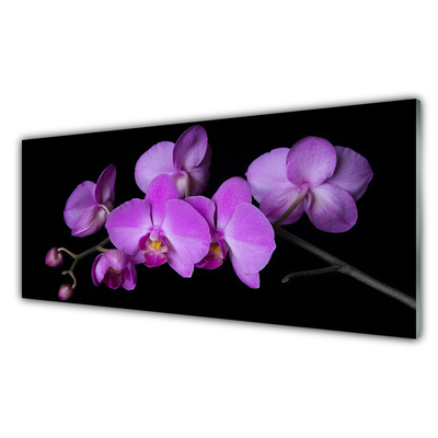 Paneles de vidrio para la cocina Orquídea flores