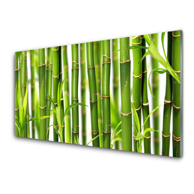 Paneles de vidrio para la cocina Brotes de bambú hojas de bambú