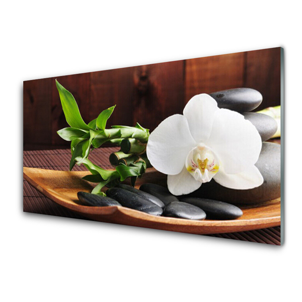 Paneles de vidrio para la cocina Bambú zen orquídea blanca