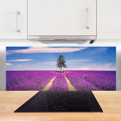 Paneles de vidrio para la cocina Campo de lavanda prado árbol