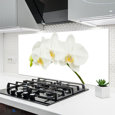 Paneles de vidrio para la cocina Orquídea brotes flores naturaleza