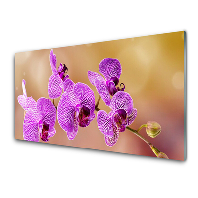 Paneles de vidrio para la cocina Orquídea brotes flores naturaleza