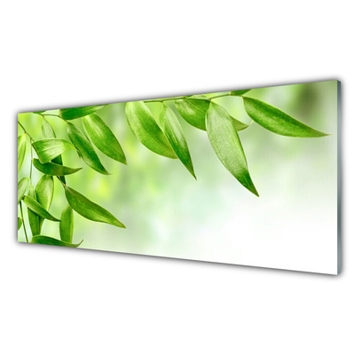 Paneles de vidrio para la cocina Hojas verdes naturaleza