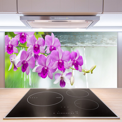 Paneles de vidrio para la cocina Orquídeas gotas naturaleza