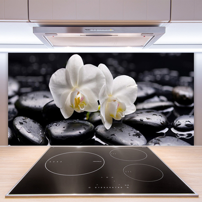 Paneles de vidrio para la cocina Zen orquídea blanca spa