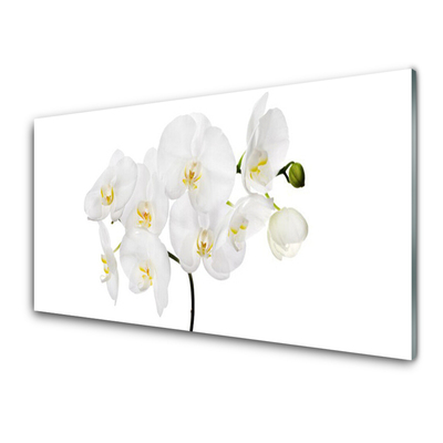 Paneles de vidrio para la cocina Orquidea blanca flores