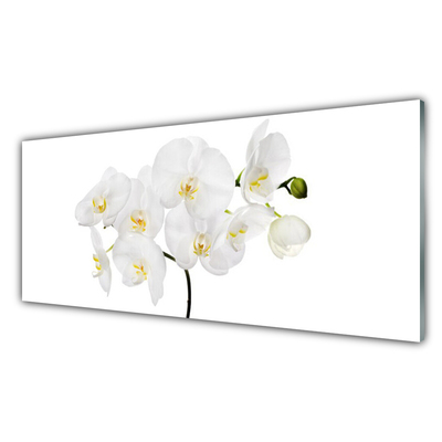 Paneles de vidrio para la cocina Orquidea blanca flores