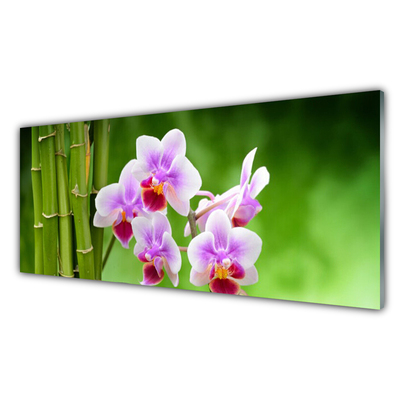Paneles de vidrio para la cocina Bambú orquídea flores zen