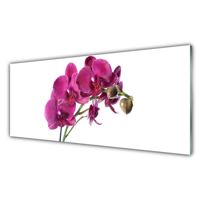 Paneles de vidrio para la cocina Orquídea flores naturaleza