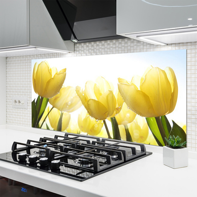 Paneles de vidrio para la cocina Tulipanes flores rayos