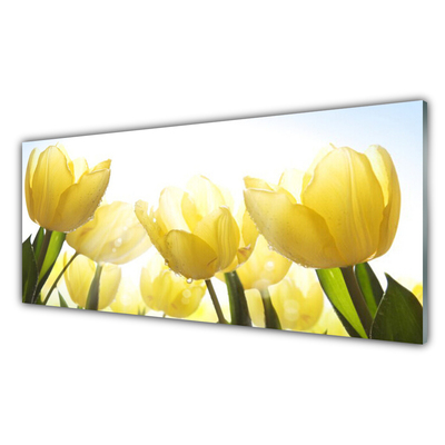 Paneles de vidrio para la cocina Tulipanes flores rayos