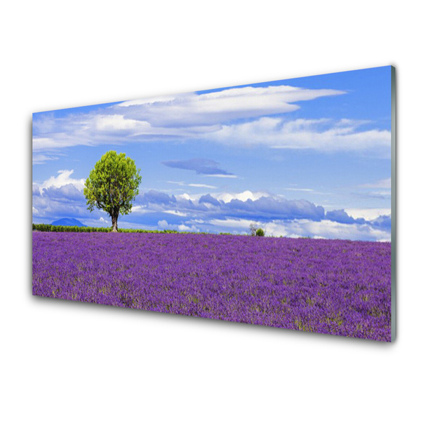 Paneles de vidrio para la cocina Campo de lavanda árbol naturaleza