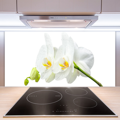 Paneles de vidrio para la cocina Pétalos flor orquídea blanca
