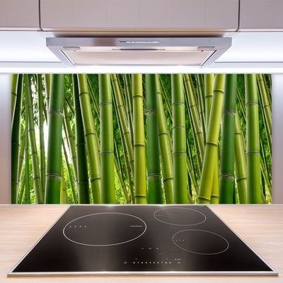 Paneles de vidrio para la cocina Bosque de bambú brotes de bambú