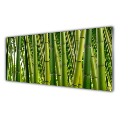 Paneles de vidrio para la cocina Bosque de bambú brotes de bambú