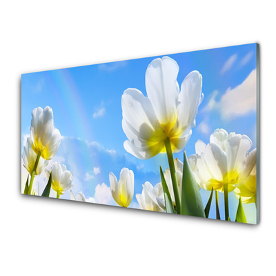 Paneles de vidrio para la cocina Plantas flores tulipanes