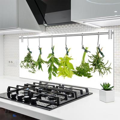 Paneles de vidrio para la cocina Hojas naturaleza hierbas