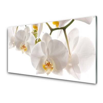Paneles de vidrio para la cocina Orquídea flores naturaleza