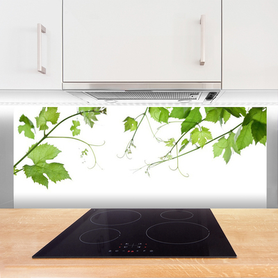 Paneles de vidrio para la cocina Ramas hojas naturaleza flores