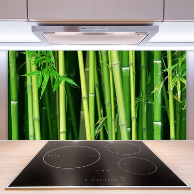 Paneles de vidrio para la cocina Bosque de bambú naturaleza