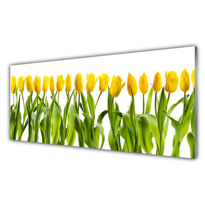 Paneles de vidrio para la cocina Tulipanes flores naturaleza