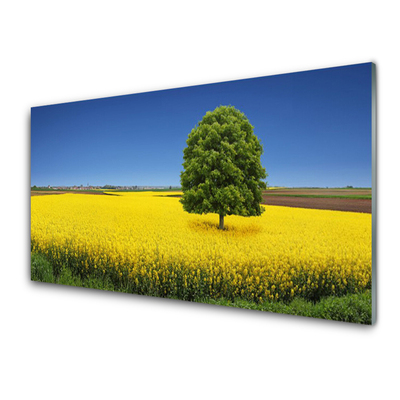 Paneles de vidrio para la cocina Prado árbol naturaleza campo