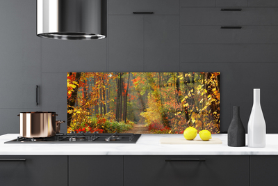 Paneles de vidrio para la cocina Bosque naturaleza otoño