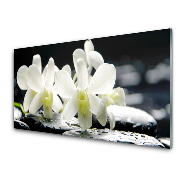 Paneles de vidrio para la cocina Piedras flores orquídea