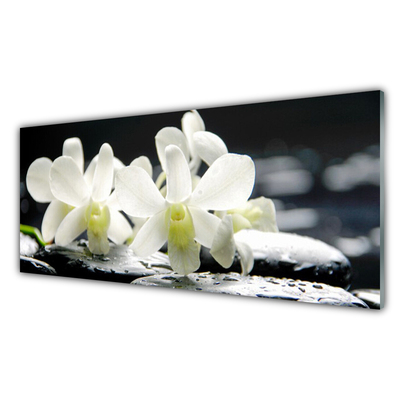 Paneles de vidrio para la cocina Piedras flores orquídea