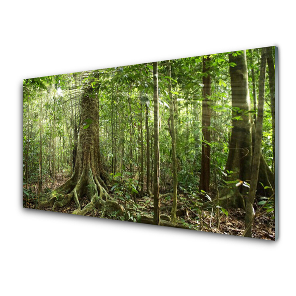 Paneles de vidrio para la cocina Bosque naturaleza jungla árboles