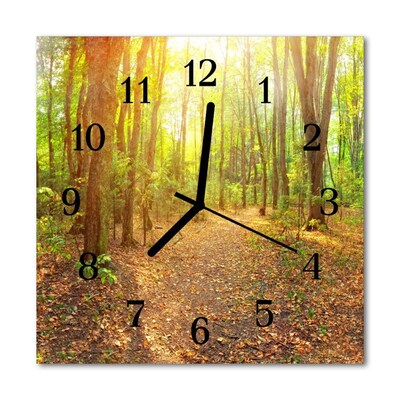 Reloj de vidrio para cocina Camino en el bosque