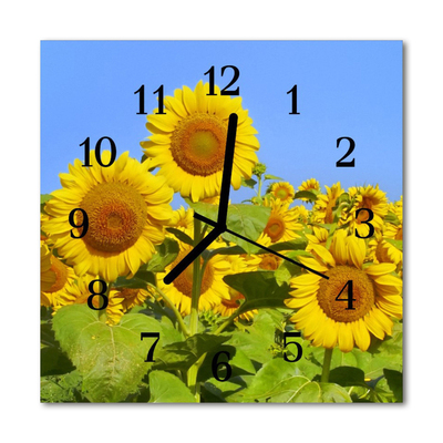 Reloj de vidrio para cocina Girasol