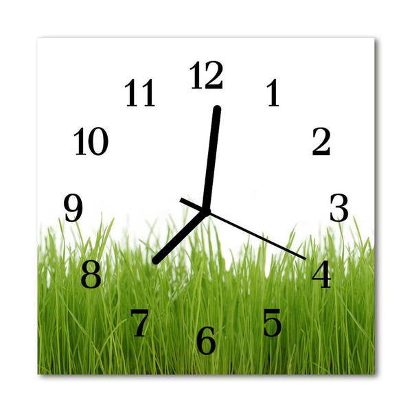 Reloj de vidrio para cocina Hierba