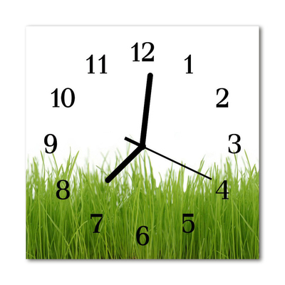 Reloj de vidrio para cocina Hierba
